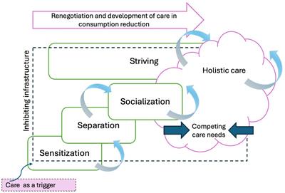 Caring and striving: toward a new consumer identity in the process of consumption reduction